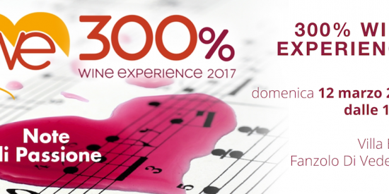 300% Wine Experience