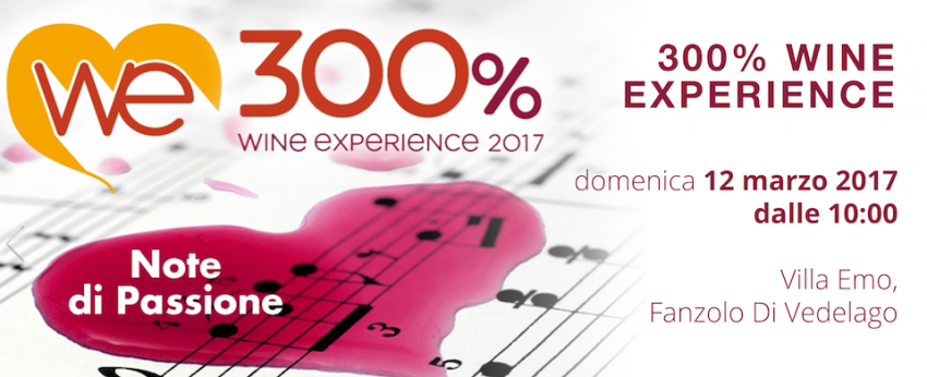 300% Wine Experience