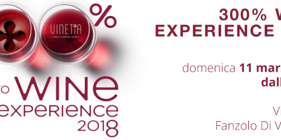 300% Wine Experience