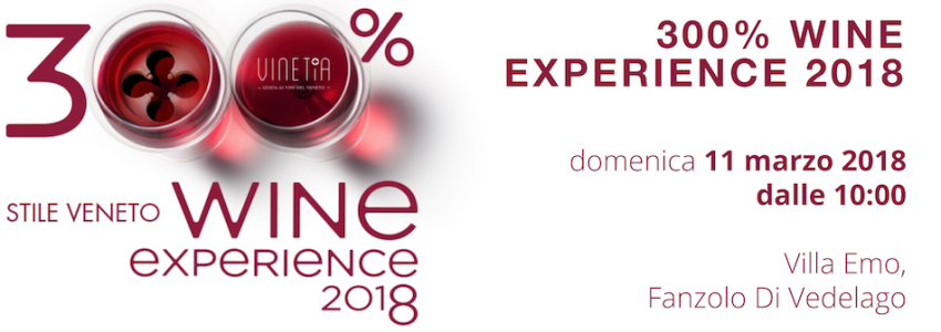 300% Wine Experience