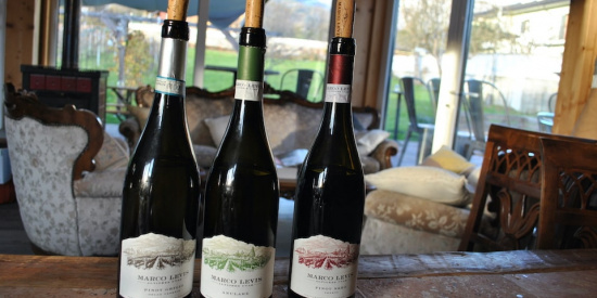 I vini dell'Alpago di Marco Levis