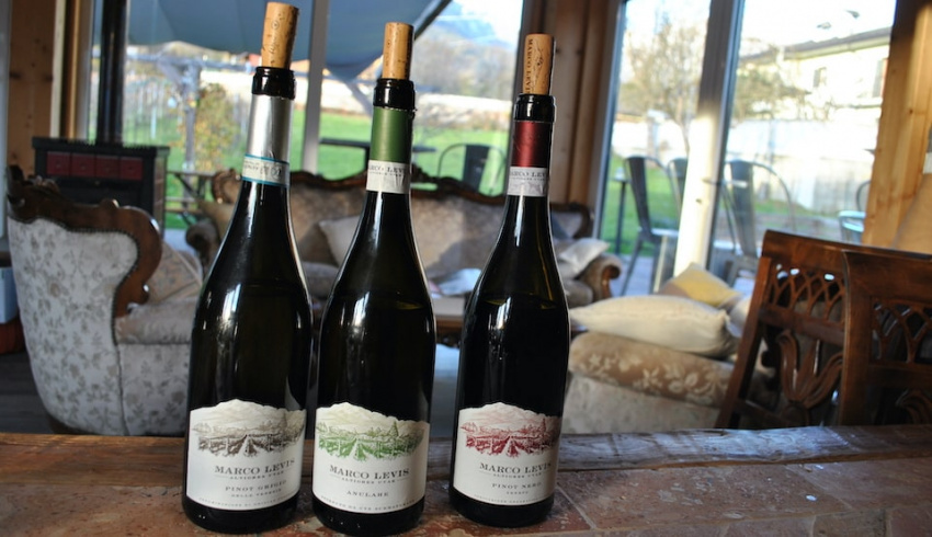 I vini dell'Alpago di Marco Levis