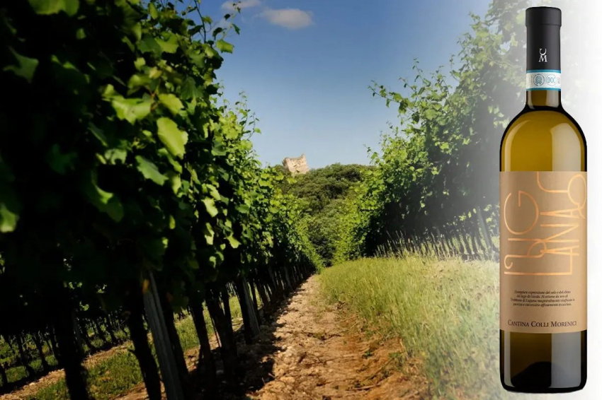 Lugana di Cantina Colli Morenici