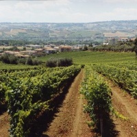 Orlandi_Contucci_Ponno