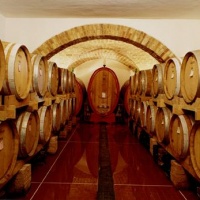 Orlandi_Contucci_Ponno-montepulciano