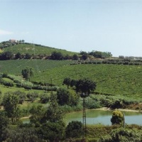 Orlandi_Contucci_Ponno-montepulciano-abruzzo