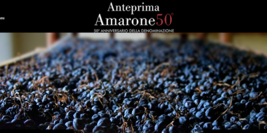 Anteprima Amarone 2018