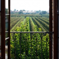 agriturismo-plave-san-polo-piave