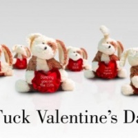 anti-san-valentino-conegliano