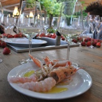 aperitivo-prosecco-scampi-treviso