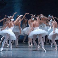 balletto-bella-addormentata-accademia-conegliano