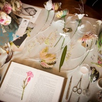 beauty-in-wonderland-elena-borghi