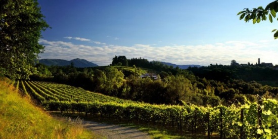 I magnifici 4 di aprile al Prosecco Privée