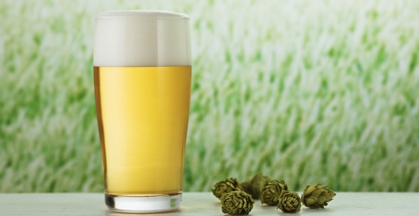 Qual è la birra giusta per l’estate?