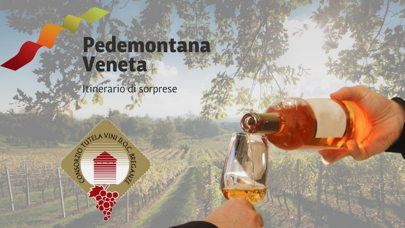 Breganze Wine Tour: le colline del Torcolato
