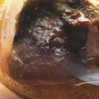 brule-vitello-vasocottura-ricetta