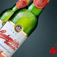 budejovicky-budvar