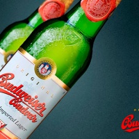 budweiser-budvar