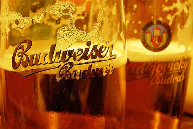 La guerra delle Budweiser