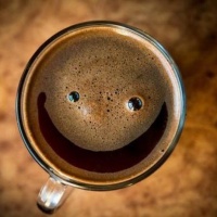 caffe-capsule-lavazza-conegliano