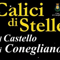 calici-di-stelle-conegliano-2014