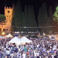 calici-di-stelle-conegliano