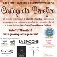 castagnata-benefica-conegliano-2015