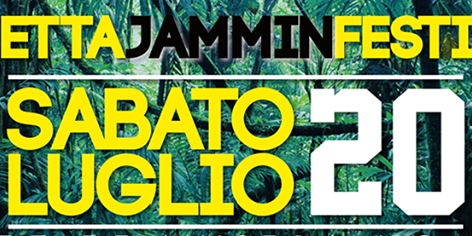 I’m a monkey and you?