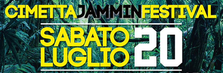 I’m a monkey and you?