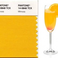 cocktail-mimosa-ricetta