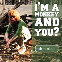 concerti-cimetta-conegliano