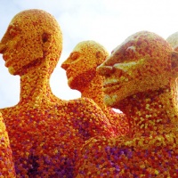 conegliano-in-fiore-autunno-2015