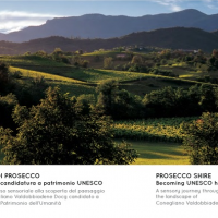 conegliano-mostra-terre-prosecco