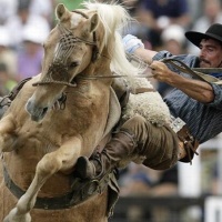 country-gallileo-fontanelle