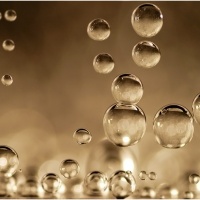 dati-ventide-vino-mondo-2013