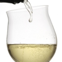 degustazione-prosecco-caffe-teatro-conegliano