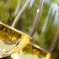 degustazione-vini-caffe-teatro-conegliano