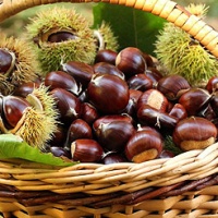 delize-da-gustare-conegliano-autunno