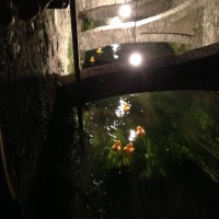 discesa-papere-gomma-meschio