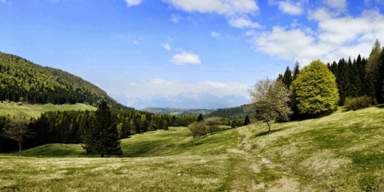 Weekend sul Montello?