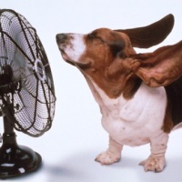 dove-rifugiarsi-caldo-torrido