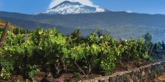 Etna: il Vulcano Fertile a San Vendemiano