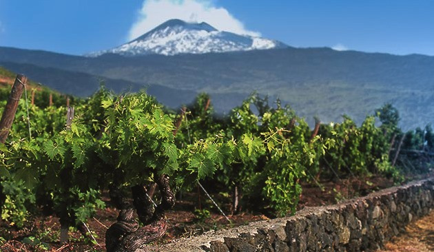 Etna: il Vulcano Fertile a San Vendemiano