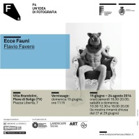 f4-idea-fotografia-pieve-di-soligo