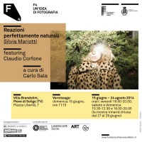 f4-idea-fotografia-villa-brandolini