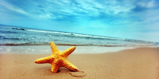 Buone vacanze dal Municipio