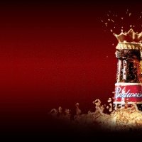 festa-birra-bud-mixer-cafe