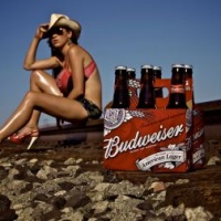 festa-birra-budweiser-mixer-cafe