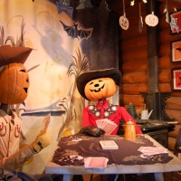 festa-country-deb-codogne