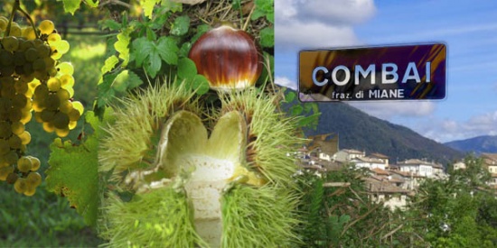 La festa dei marroni a Combai